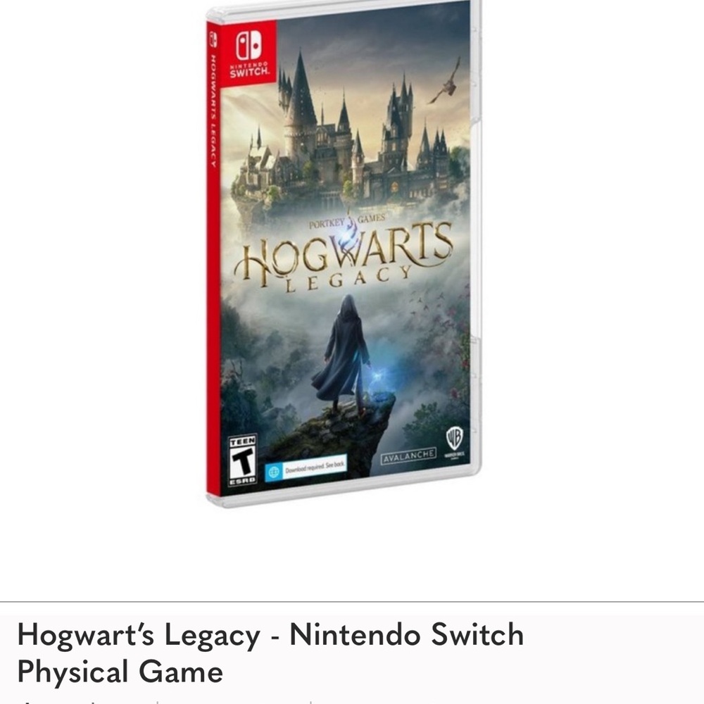Nintendo switch hogwarts legacy